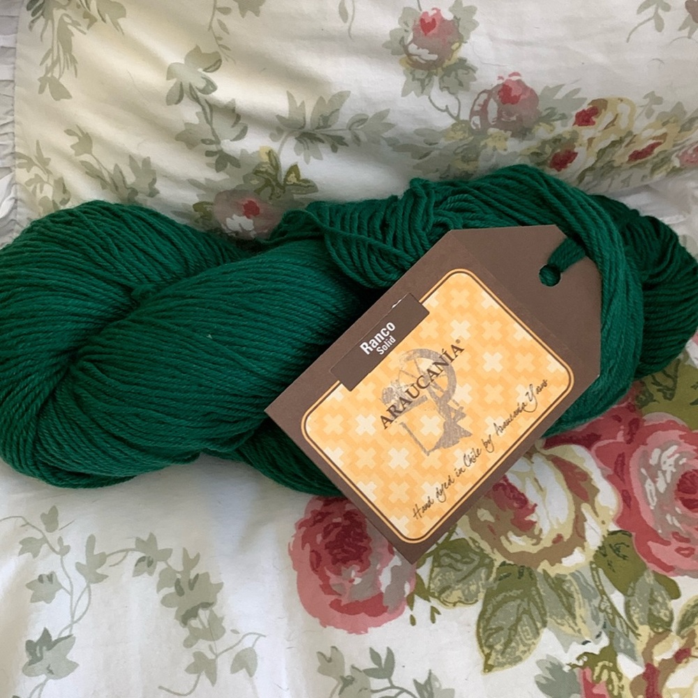 Skein Araucania yarn